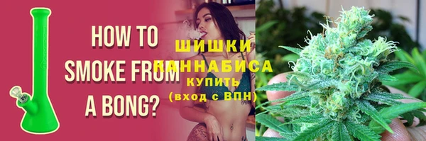 apvp Белокуриха