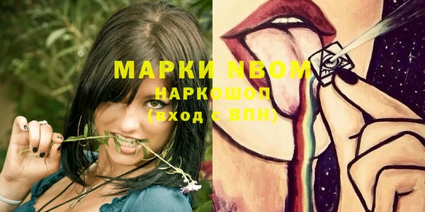 apvp Белокуриха